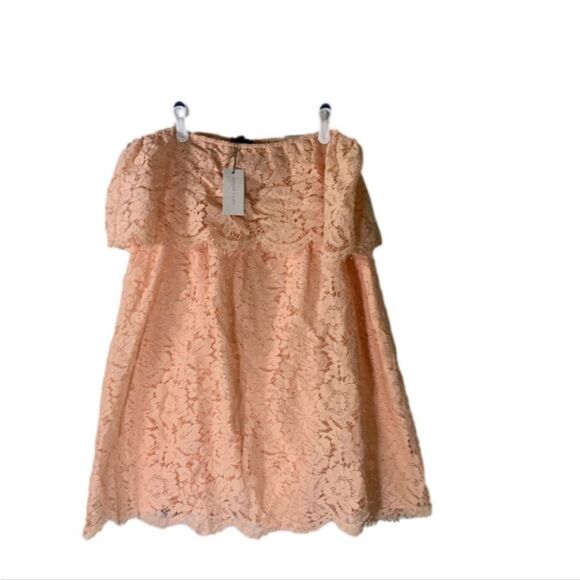 Sugar Lips NEW‎ Small Blush Pink Lace Darcie Off The Shoulder Dress - Picture 4 of 8